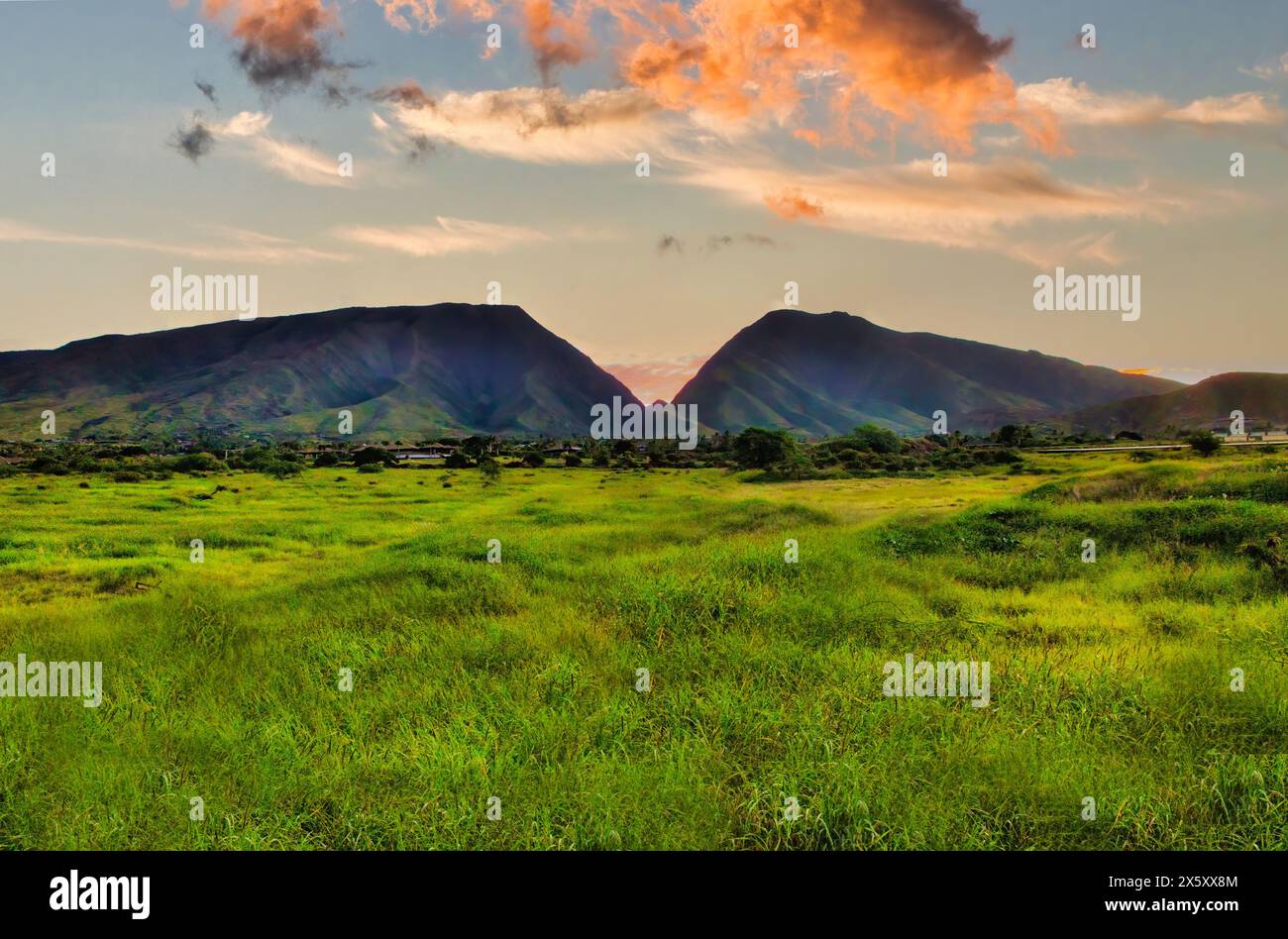 Lush green meadow hi-res stock photography and images - Alamy