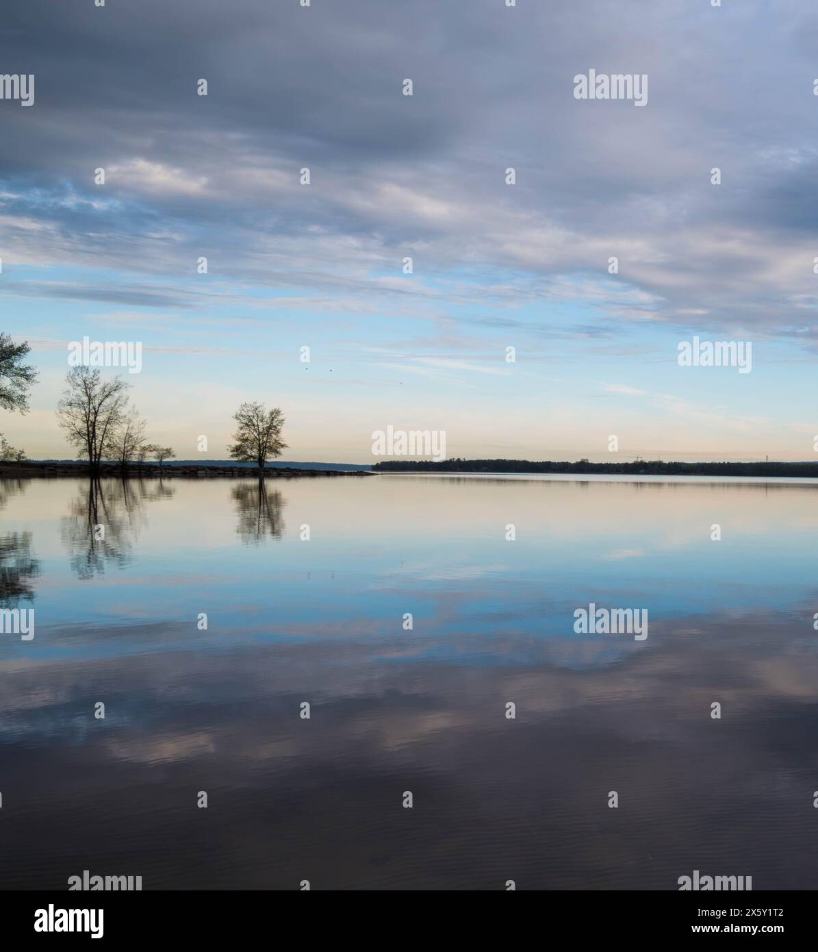 Mirror-like Reflections at Dawn: Tranquil Trees and Soft Skies Over Still Waters Stock Photo