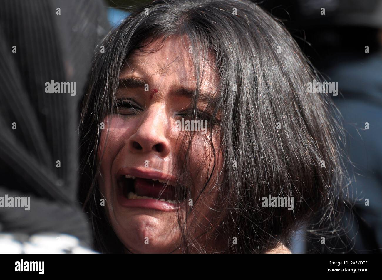 Members of the New York City Police Department arrest a pro-Palestine ...