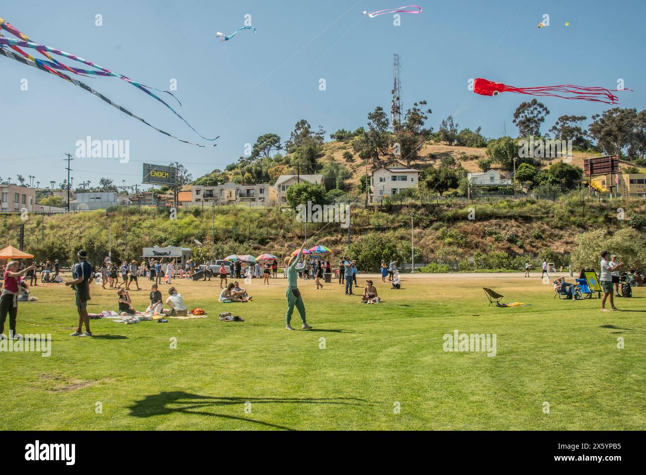Multicultural kite traditions hires stock photography and images Alamy