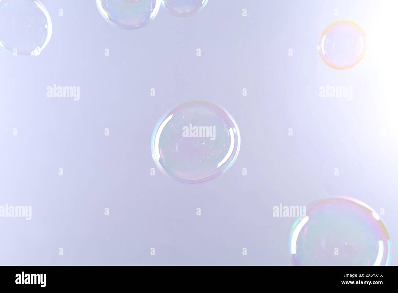 Beautiful transparent soap bubbles on gray background Stock Photo - Alamy