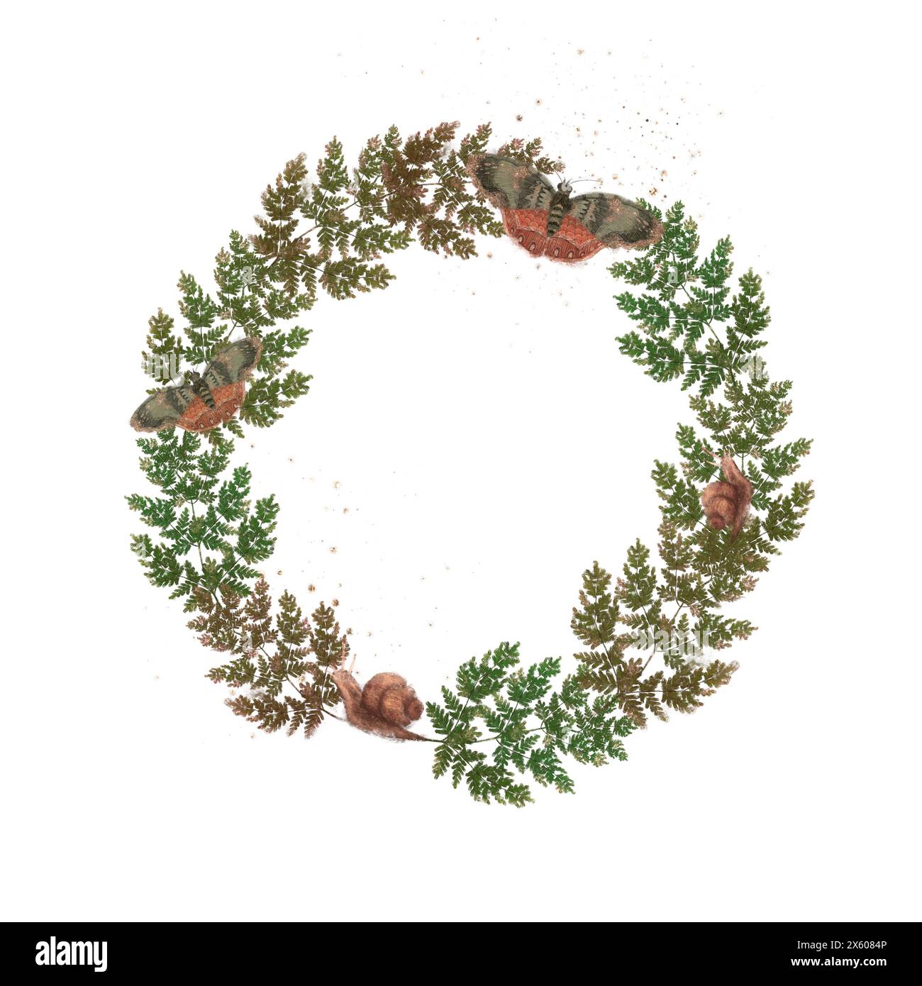 Fern Frame Graphics Round forest frame of fern twigs, butterflies and snails on white ...