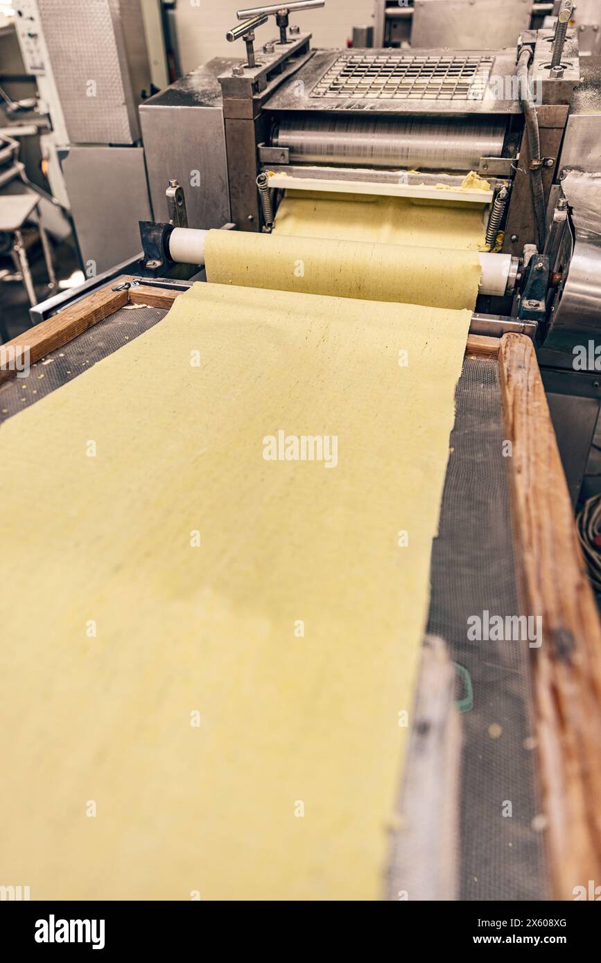 Fresh pasta dough sheets being processed in an automated factory setting Stock Photo