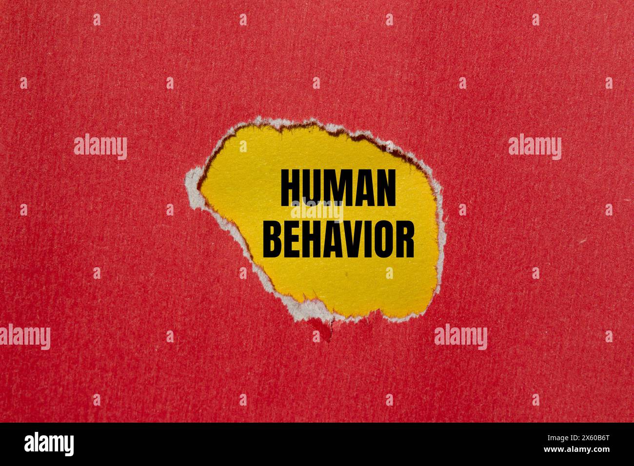 Human behavior words written on ripped red paper with yellow background. Conceptual human behavior symbol. Copy space. Stock Photo