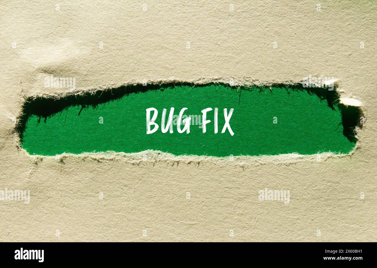 Bug fix words written on ripped paper with green background. Conceptual ...