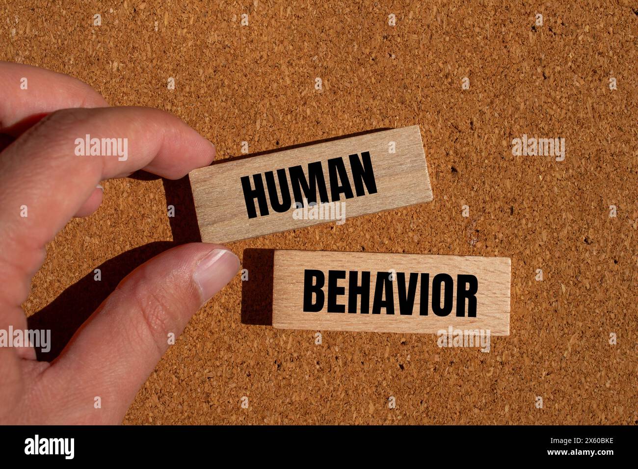 Human behavior words written on wooden blocks with brown background. Conceptual human behavior symbol. Copy space. Stock Photo