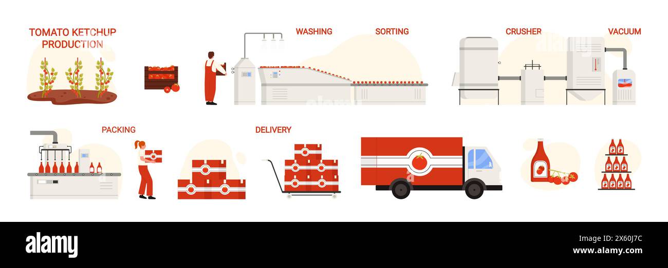 Tomato ketchup production, infographic chart of manufacturing process