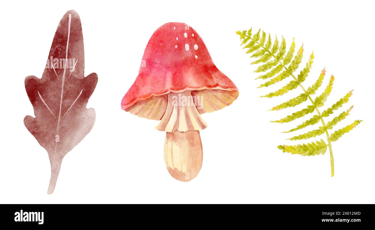 Prehistoric mushroom and fern leaf in jurassic peroid . Watercolor painting style . Illustration . Stock Photo
