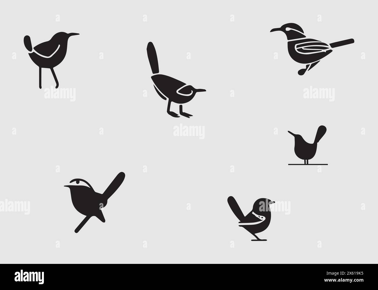 minimal Cactus Wren black icon illustration design Stock Vector Image