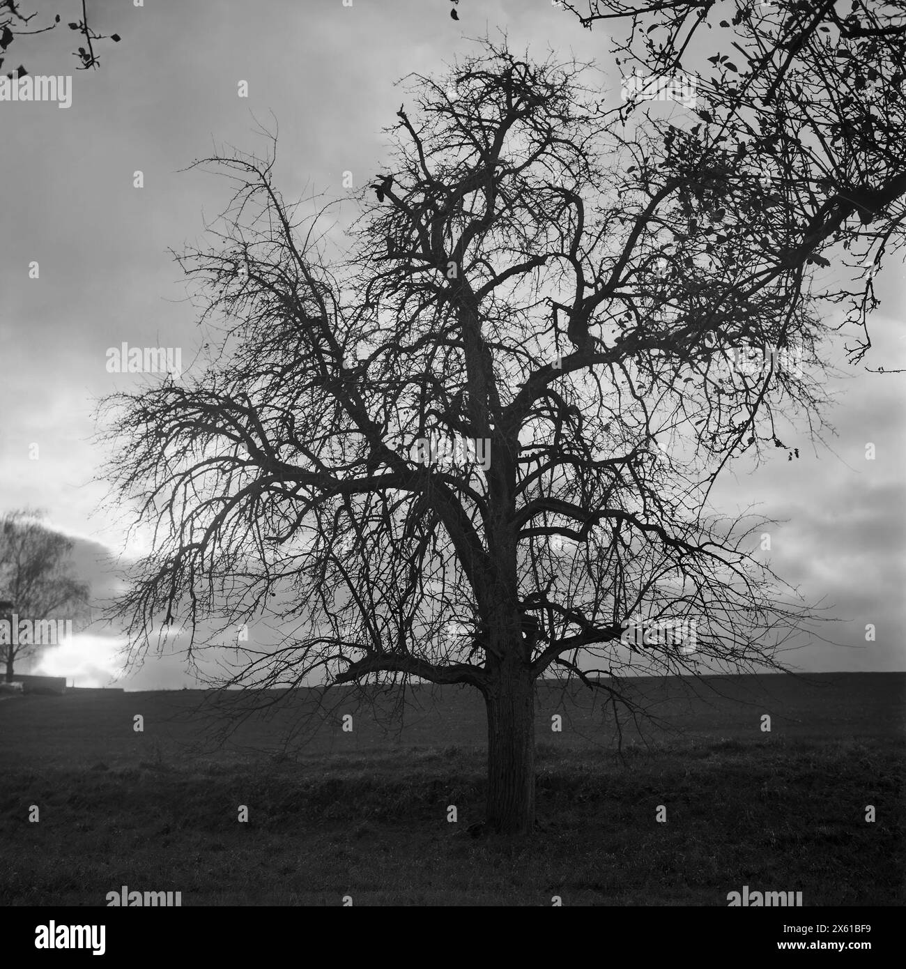 Agriculture technique Black and White Stock Photos & Images - Alamy