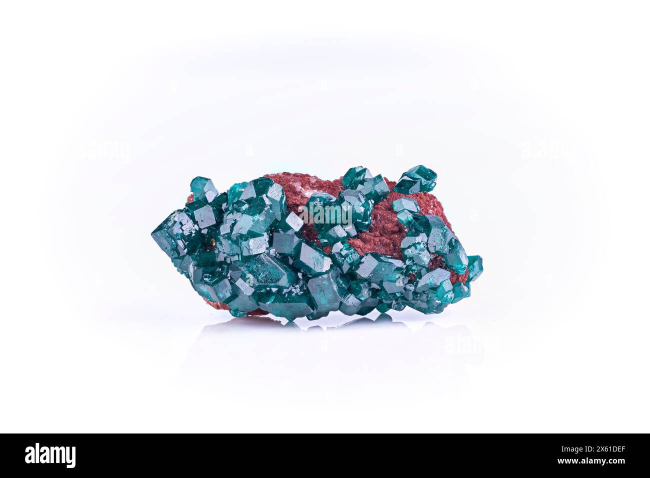 Dioptase crystals on matrice, from Congo. photography isolated on white blackground. macro detail background. close-up Rough raw unpolished semi-preci Stock Photo