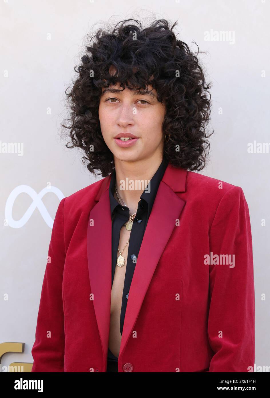 LOS ANGELES, CA - May 11. Towa Bird at THE Gold House Hosts 2024 Gold Gala at The Music Center in Los Angeles, California, on May 11, 2024. Credit : Faye Sadou/MediaPunch Credit: MediaPunch Inc/Alamy Live News Stock Photo