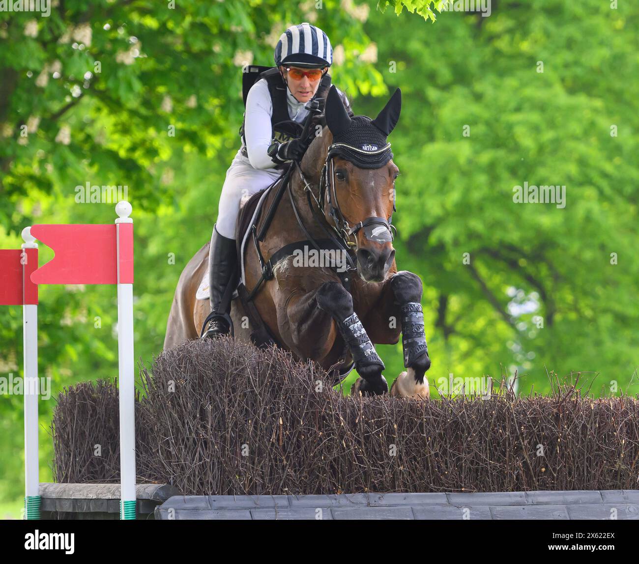 Badminton Horse Trials Cross Country - Gloucestershire, UK. 11th May, 2024. Caroline Powell on Greenacres Special Cavalier during the Cross County at Badminton. Picture Credit: Mark Pain/Alamy Live News Stock Photo