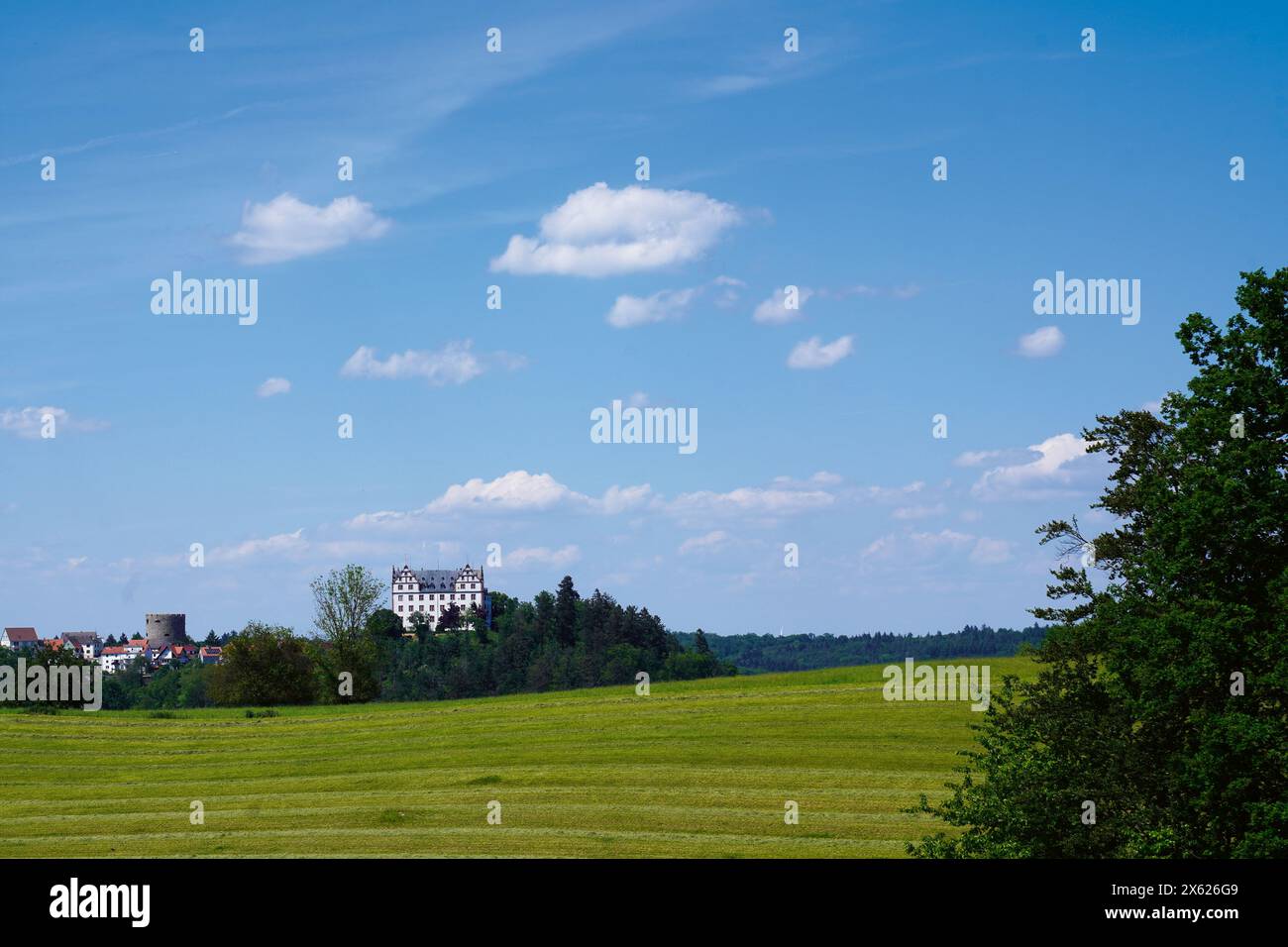 Schloss Lichtenberg, Odenwald, Hessen, Deutschland Stock Photo