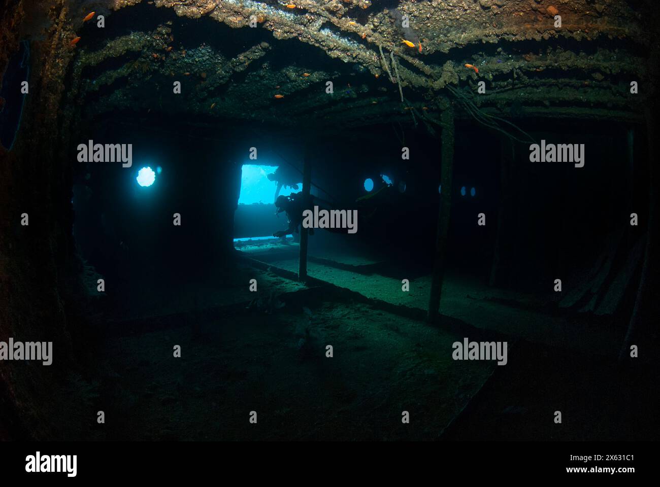 Ship Wrecks Sunglasses