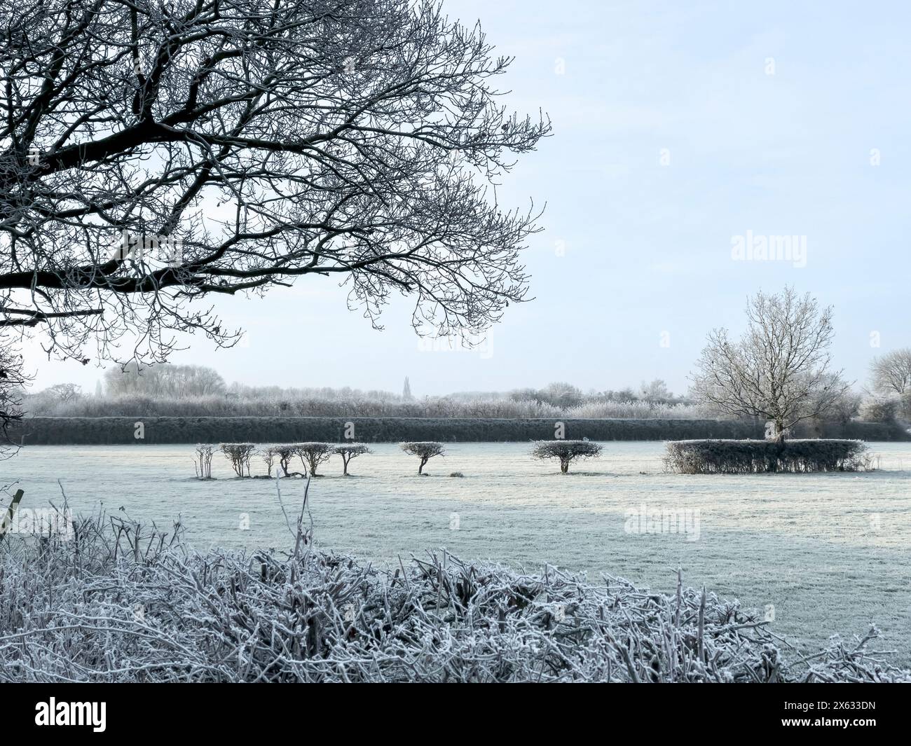 Frost covered field to the west of the Community Stadium where the remains of a Roman camp are situated. Stock Photo