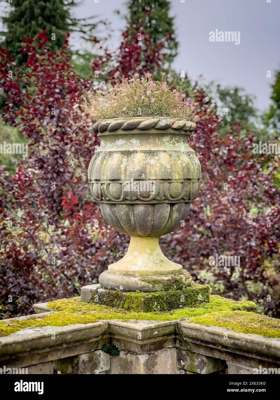 Lichen-covered stone urn sitting atop a moss-covered wall in the gardens of Newby Hall, North Yorkshire, UK Stock Photo