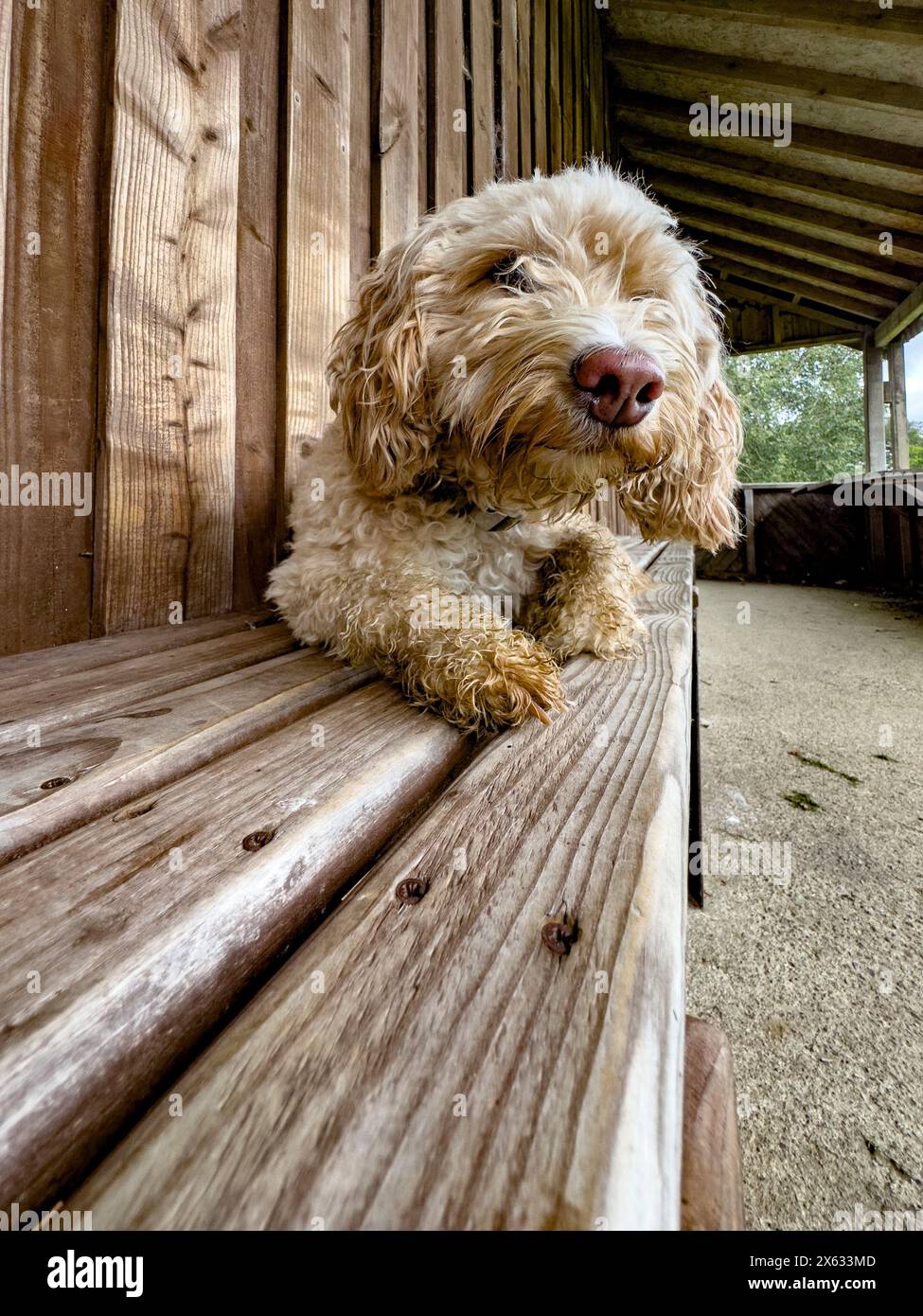 Lying bench hi-res stock photography and images - Alamy