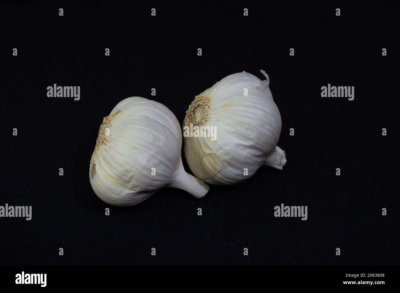 Garlic, tasty and healthy seasoning for foods Stock Photo