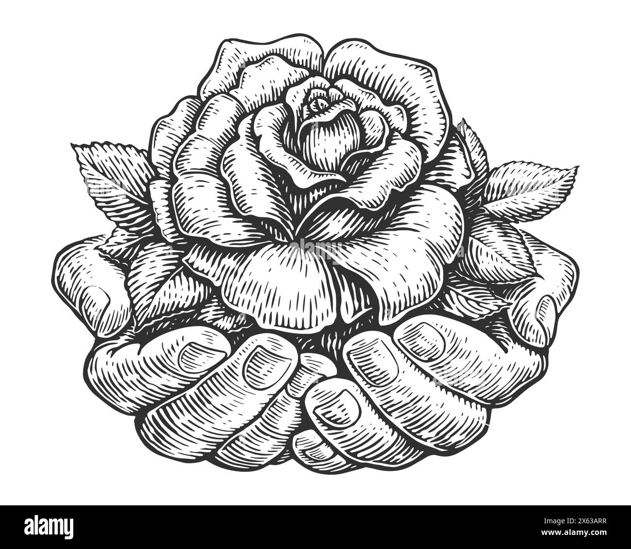 Hands palms holding flower. Rose bud with leaves in hand. Hand drawn sketch vintage vector illustration Stock Vector