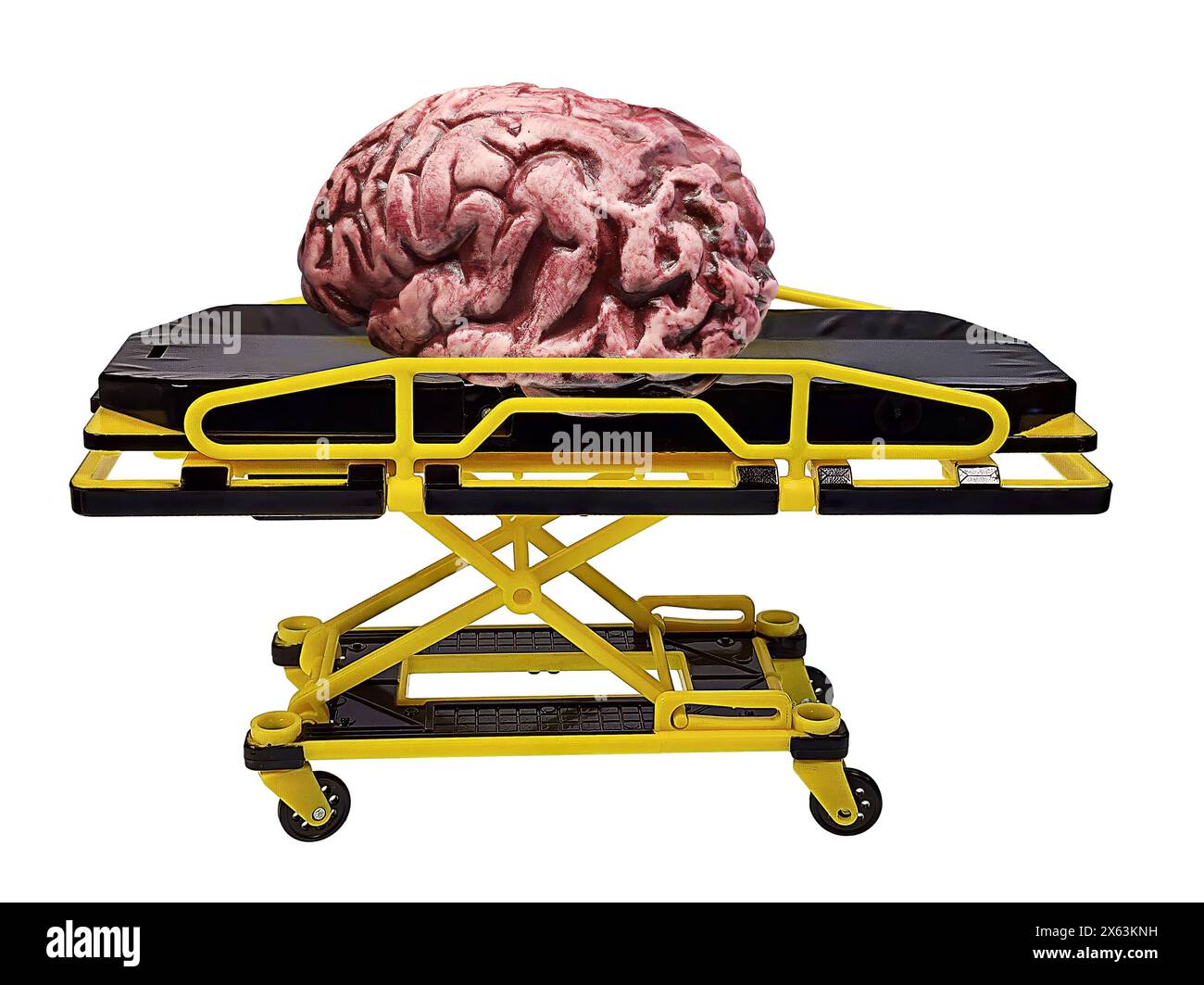 Human brains where we produce all of our thoughts and motions on a hospital gurney Stock Photo