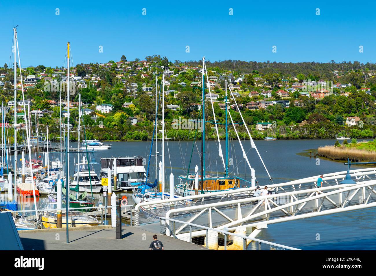 The North Bank Pedestrian Bridge in Seaport, Launceston, Tasmania, Australia, at the North Esk River looking towards the Tamar River and the hilltop L Stock Photo