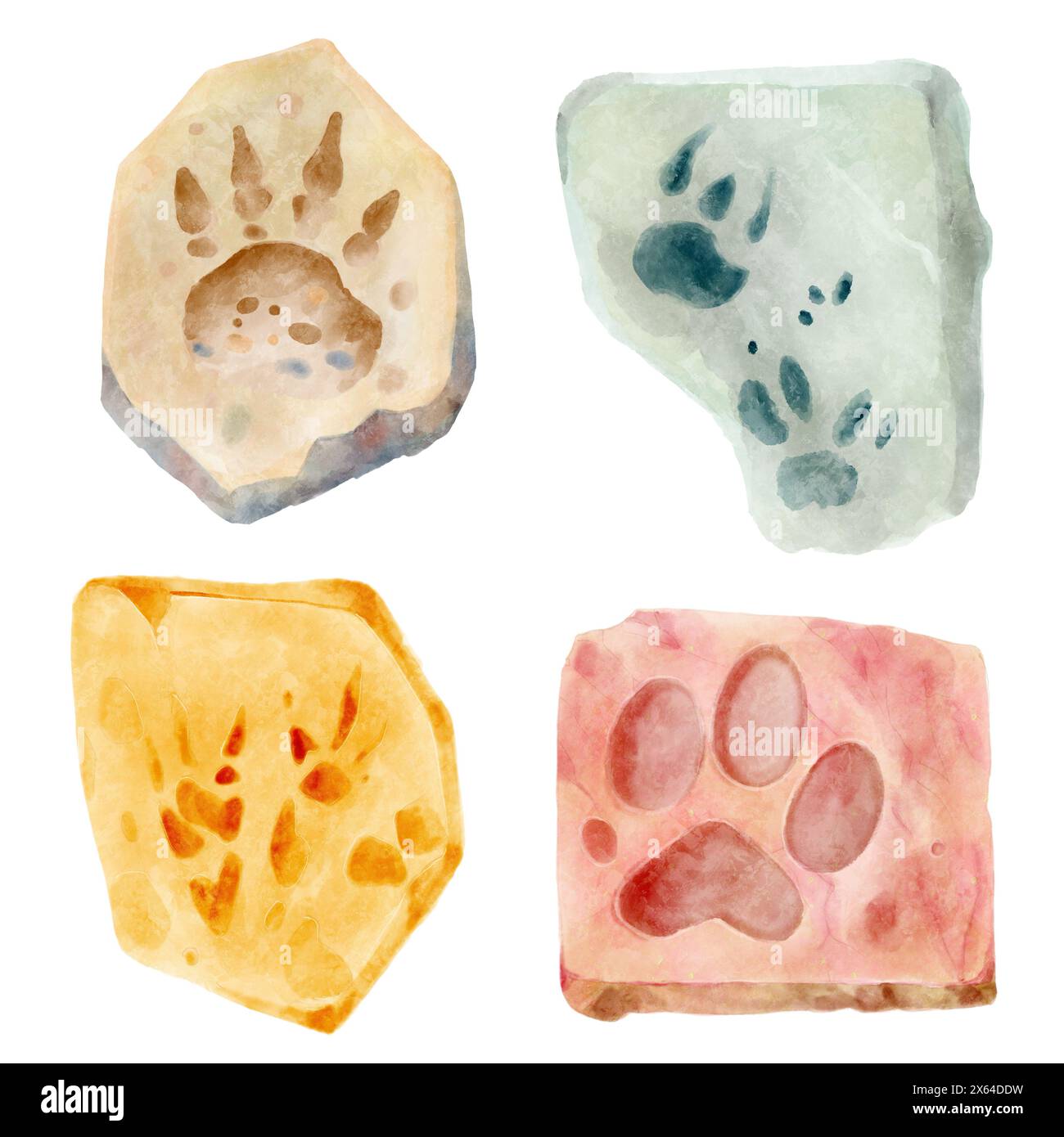 Dinosaur footprint in rock . Watercolor paint design . Illustration ...