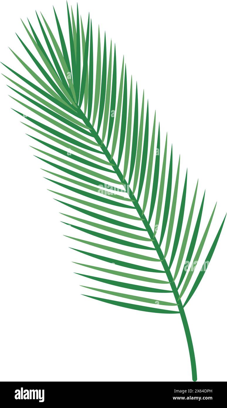 Pine needle icon on Stock Vector Images - Alamy