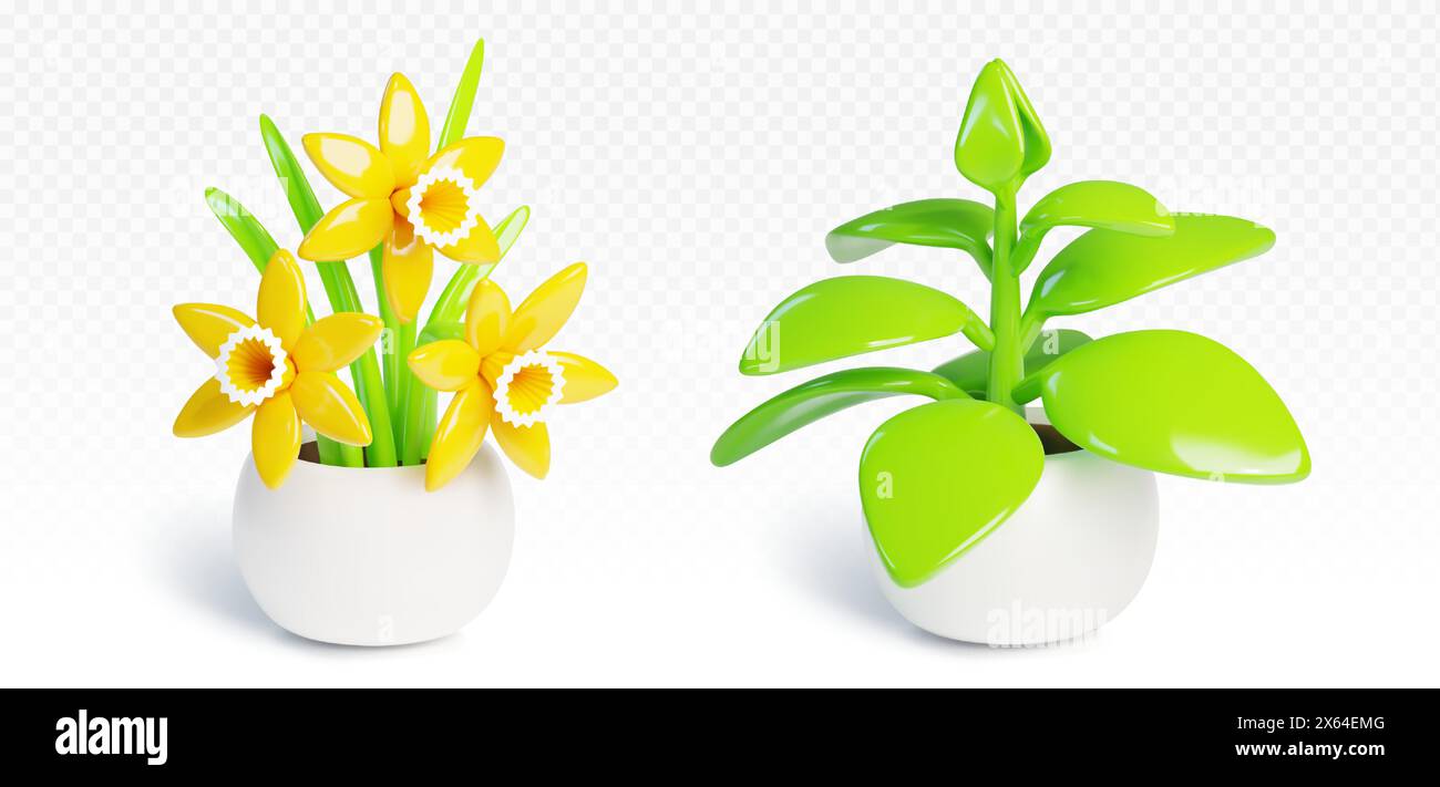 Narcissus flower and green sprout in ceramic pots isolated on