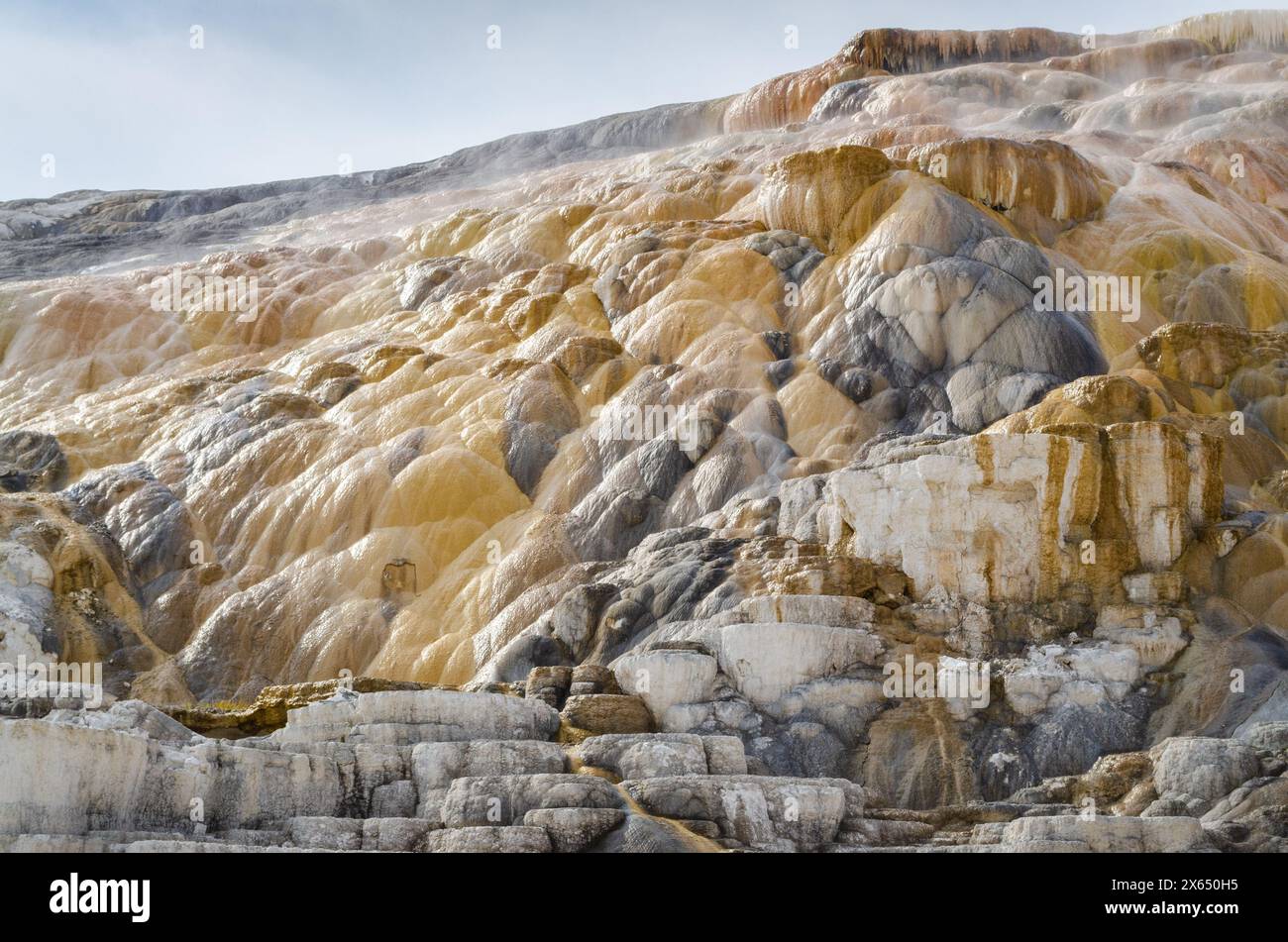 Mammoth Hot Springs at Yellowstone National Park, USA Stock Photo