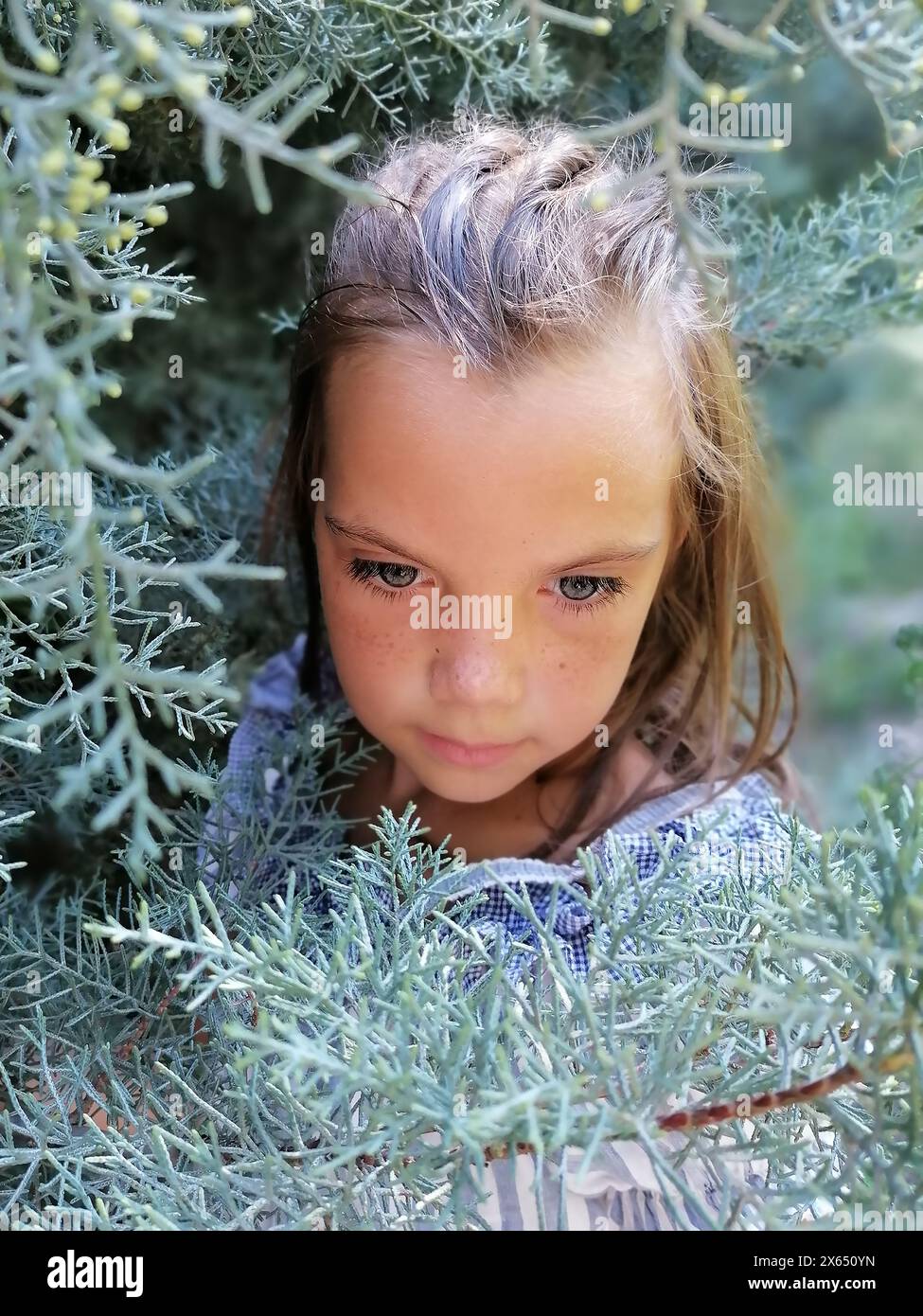 Little girl in the garden. Beautiful flowers roses. Cute lady watching thoughtfully. Child with big green eyes. Lovely flowers pink color. Green plant Stock Photo