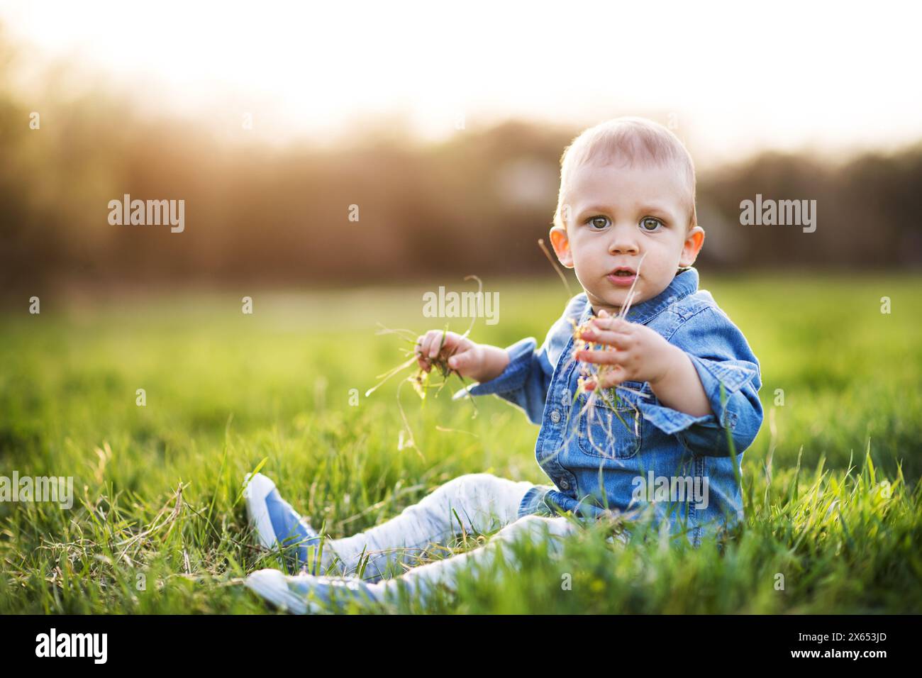 Cute toddler playing in grass. Baby on family walk k in spring nature. Happy family moment for new parents. Portrait. Stock Photo