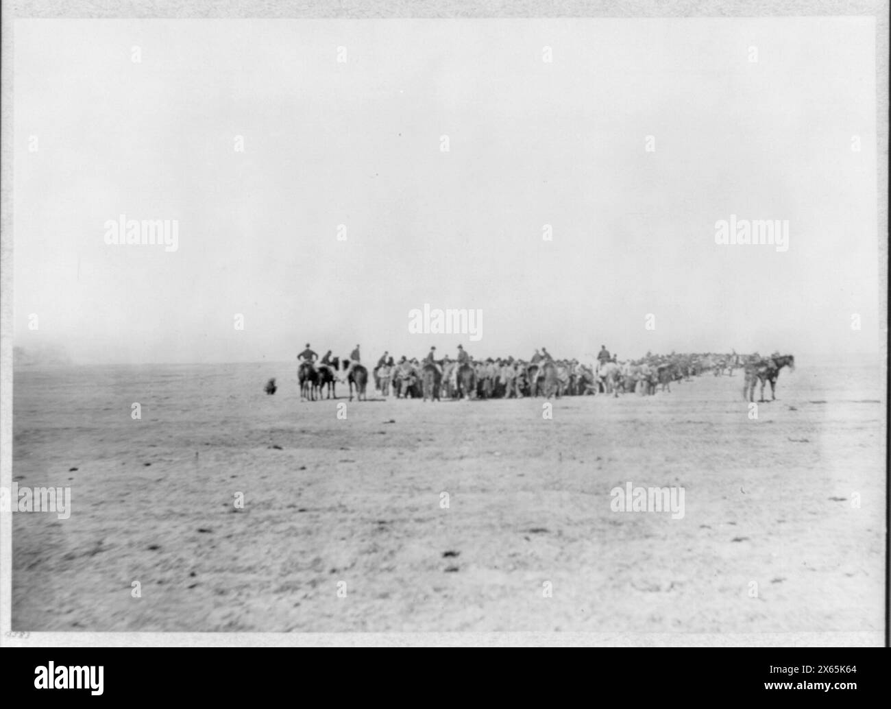 Confederate prisoners for exchange at Cox's Landing, Va., Civil War ...