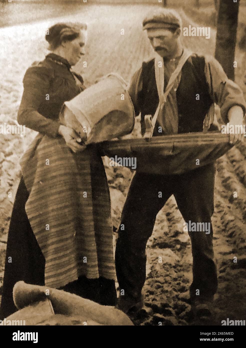 BROADCAST SOWING -Early 1900's - A farmer and his wife prepare to sow seeds by hand. Stock Photo