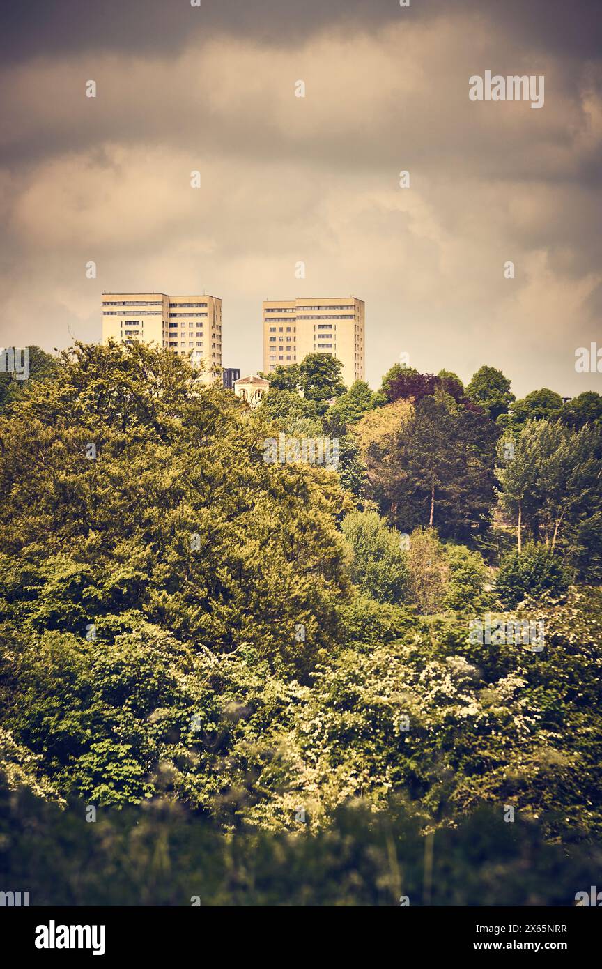 Twin white tower blocks above wooded area Stock Photo