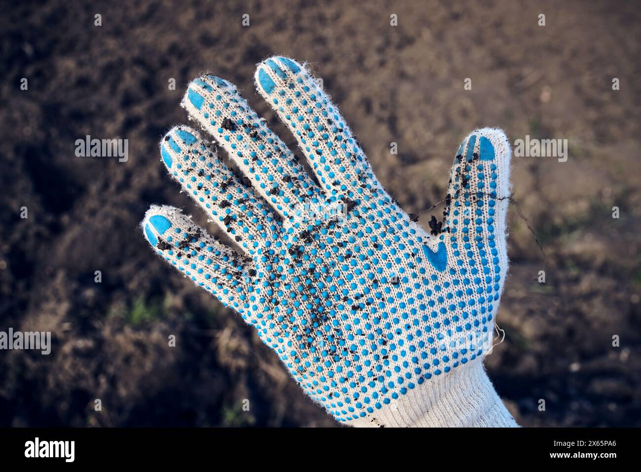 Joe Davies Mug & Glove Set Garden Dirt main image 1