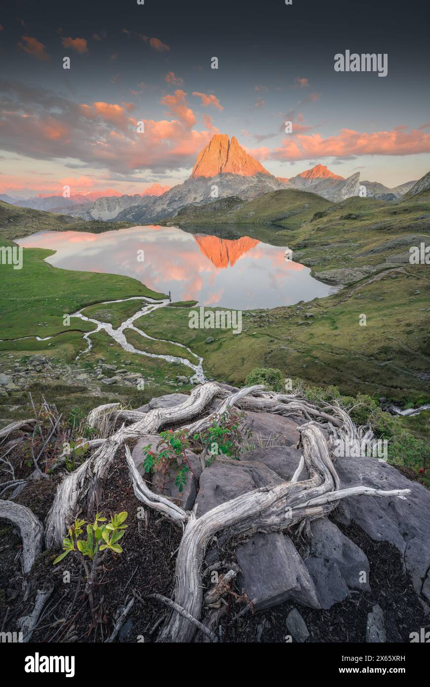 Sunset on Lac d'Ousse from Gnarled Roots Below Pic du Midi d'Ossau Stock Photo