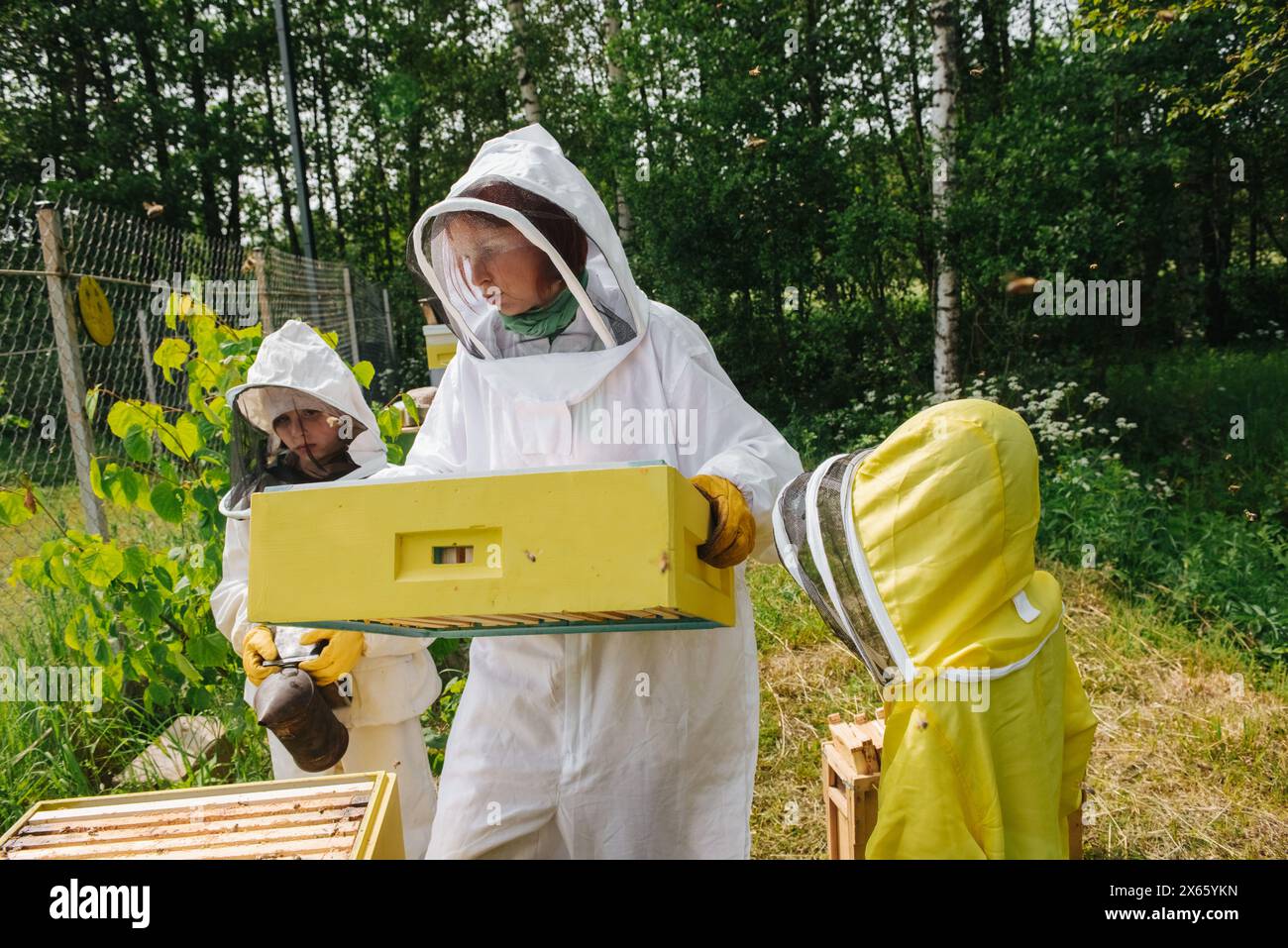 beekeepers in the garden takes care of the hives Stock Photo