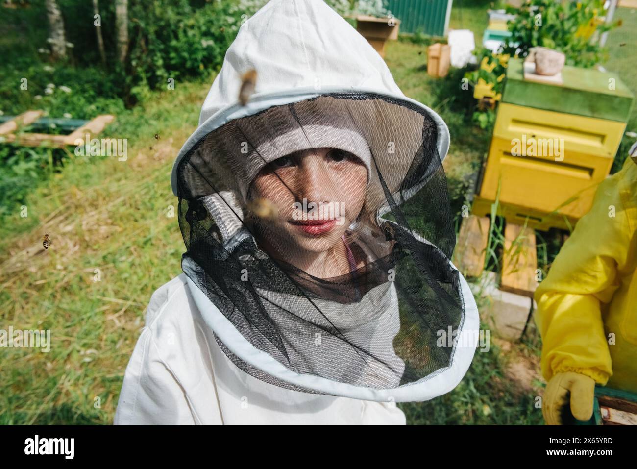 beekeeper and bees in the garden takes care of the hives Stock Photo