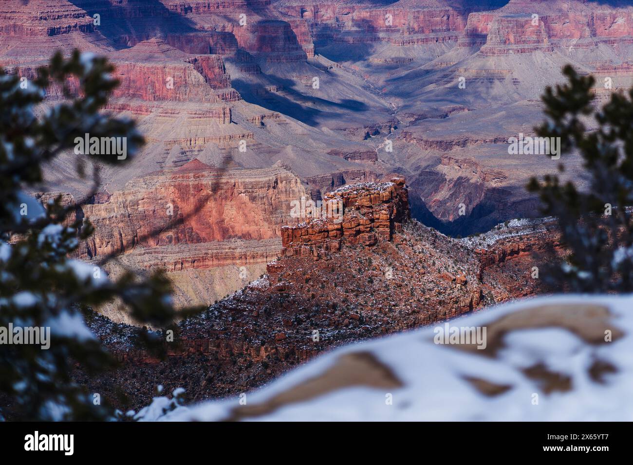 Winter's Embrace on Grand Canyon Rocks with Snow-Dusted Foreground Stock Photo