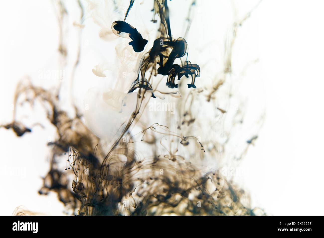 Black ink swirls forming delicate patterns as they diffuse elegantly through clear water, resembling an abstract ballet. Stock Photo