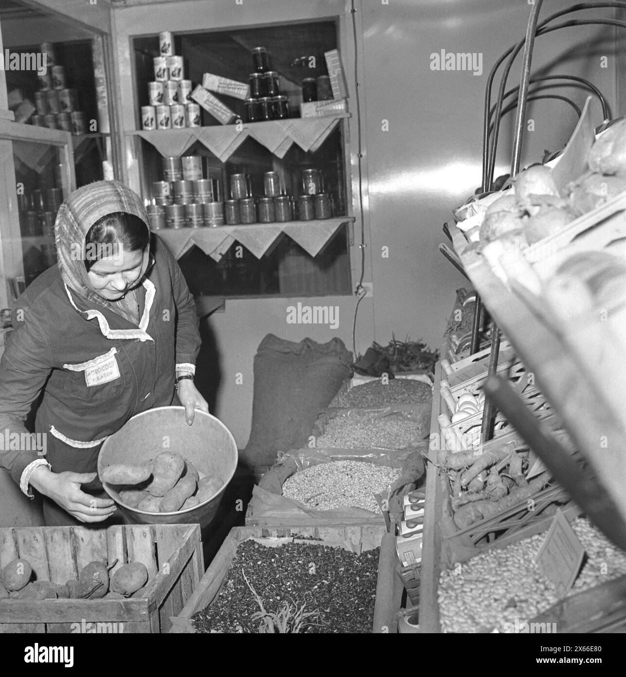 Socialist Republic of Romania in the 1970s. Interior of a state-owned produce store. Stock Photo