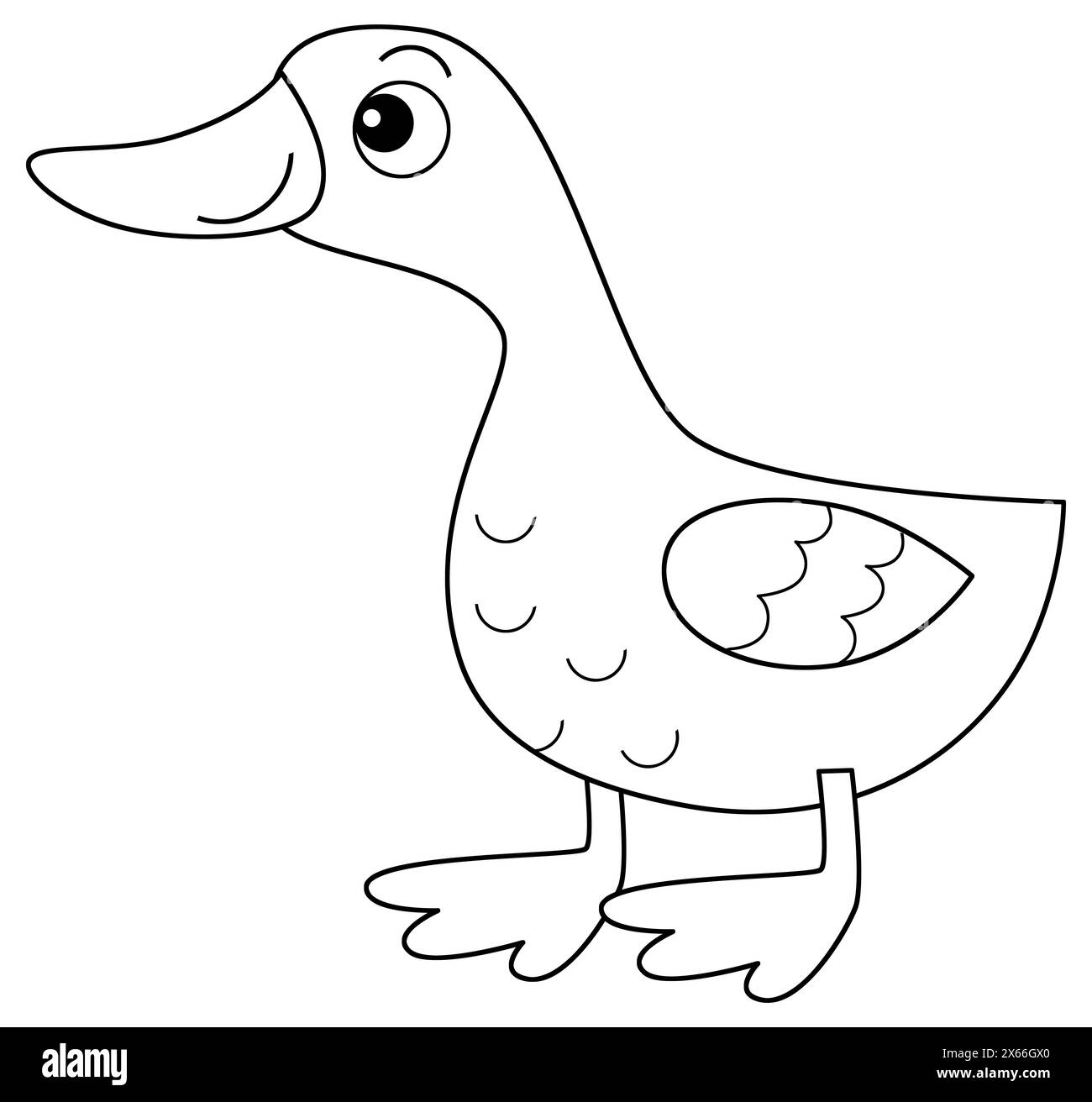 Cartoon happy farm animal cheerful goose bird running isolated background with sketch drawing illustration for kids Stock Photo