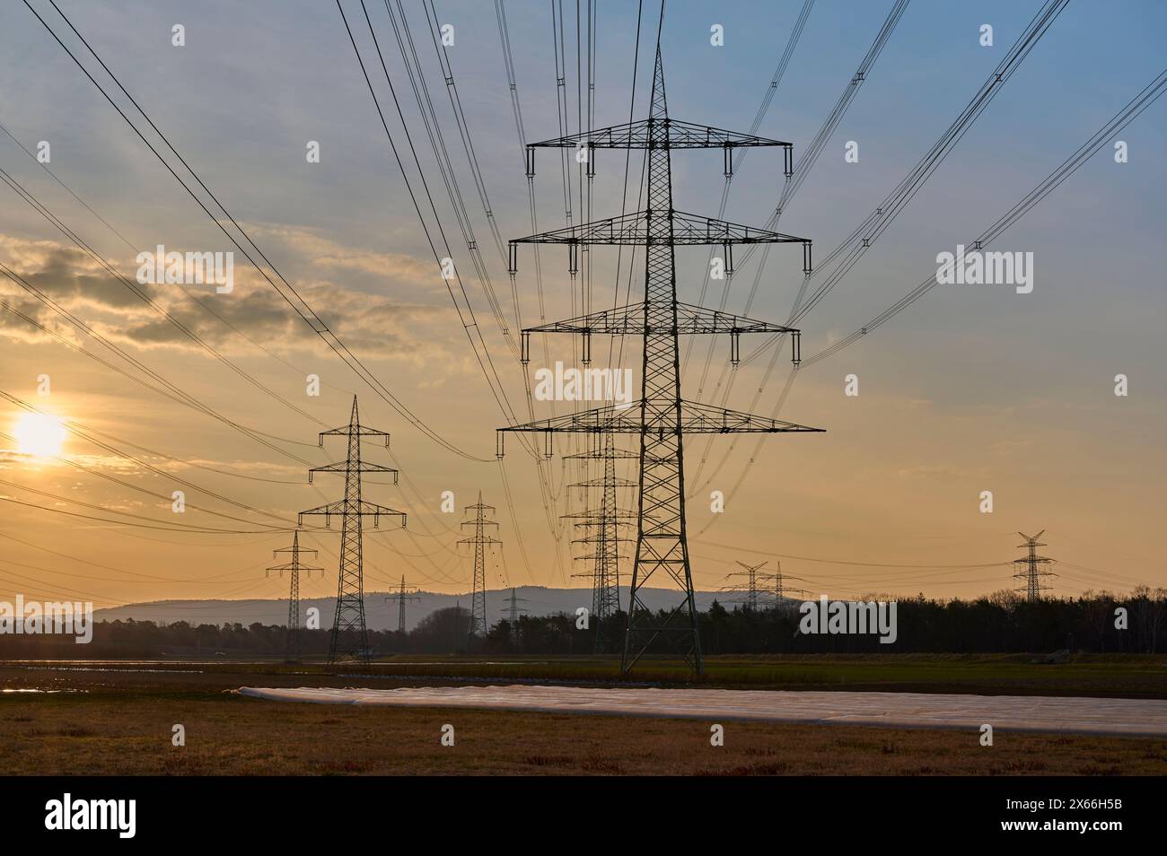 Symbolic image, energy crisis, power lines, at sunrise, Hesse, Germany Stock Photo