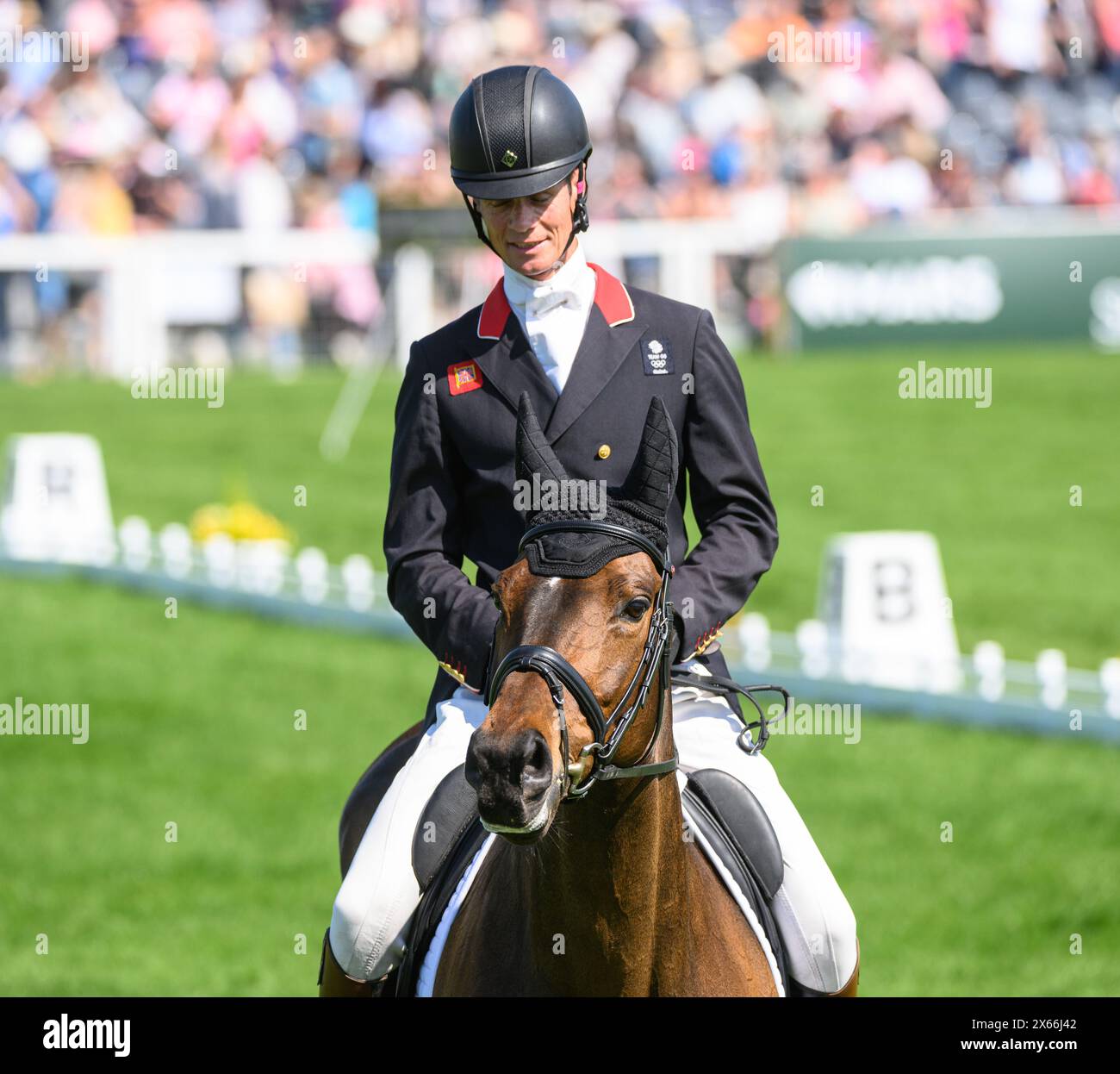 William Fox-Pitt and GRAFENNACHT during the Dressage phase, Badminton ...