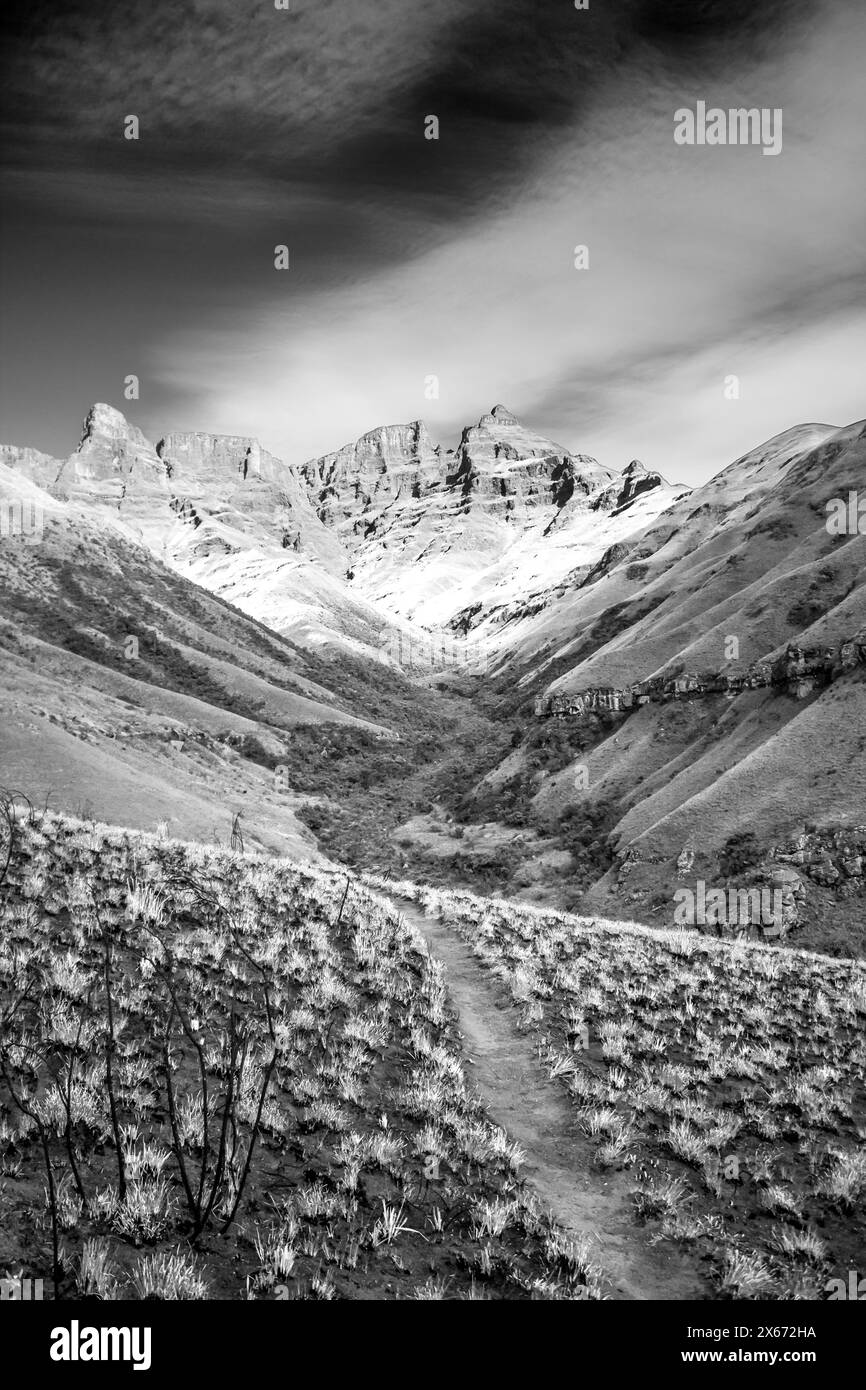 A dramatic black and white view of a narrow hiking trail with the steep, craggy basalt cliffs of the Drakensberg Mountains in the Background Stock Photo