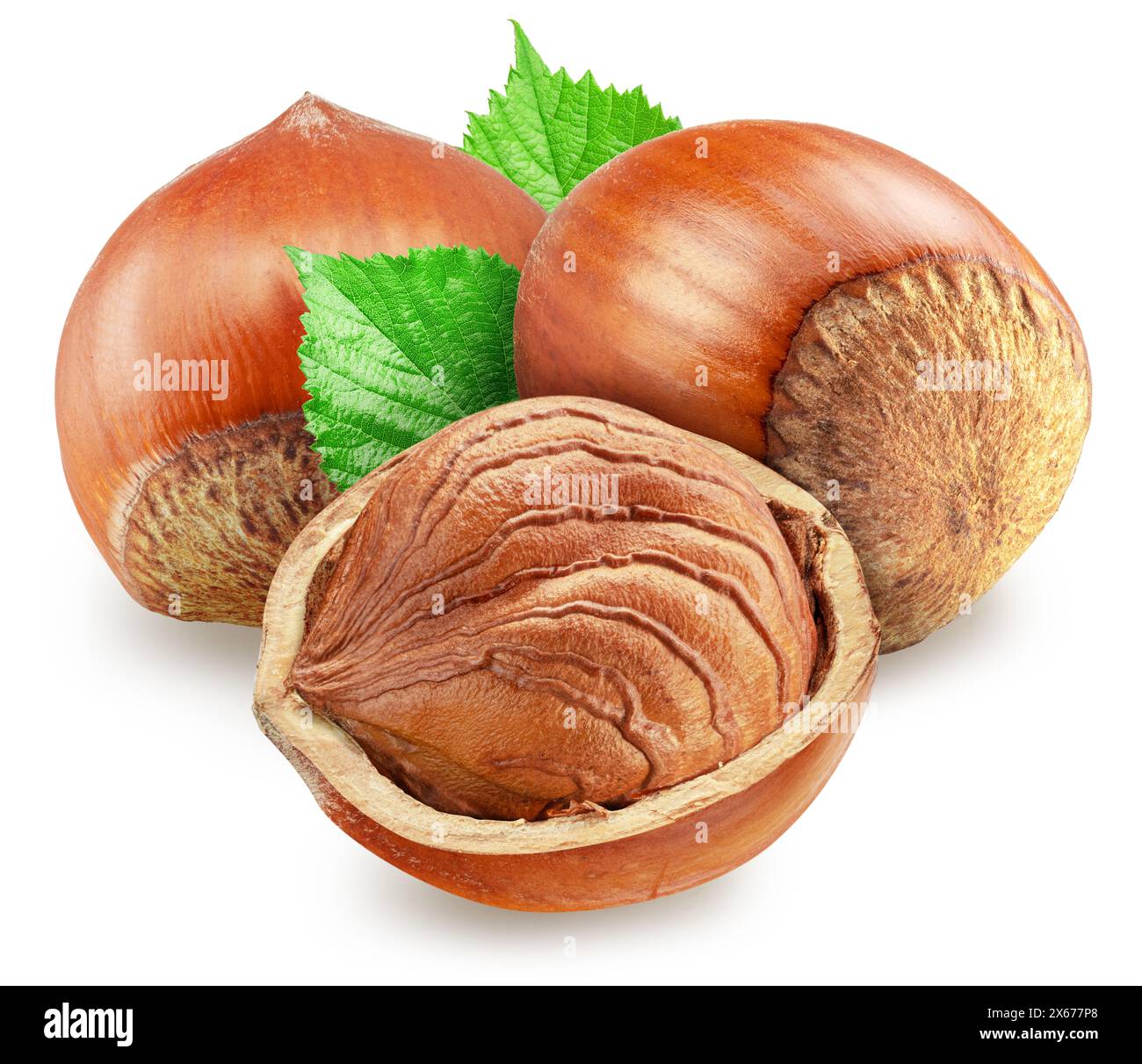 Hazelnuts, hazelnut kernel and green leaves on white background. Clipping path. Stock Photo