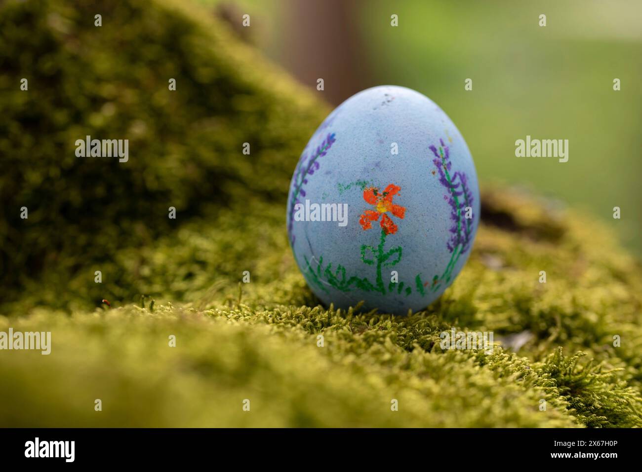 Painted Easter egg lying on moss, Germany Stock Photo