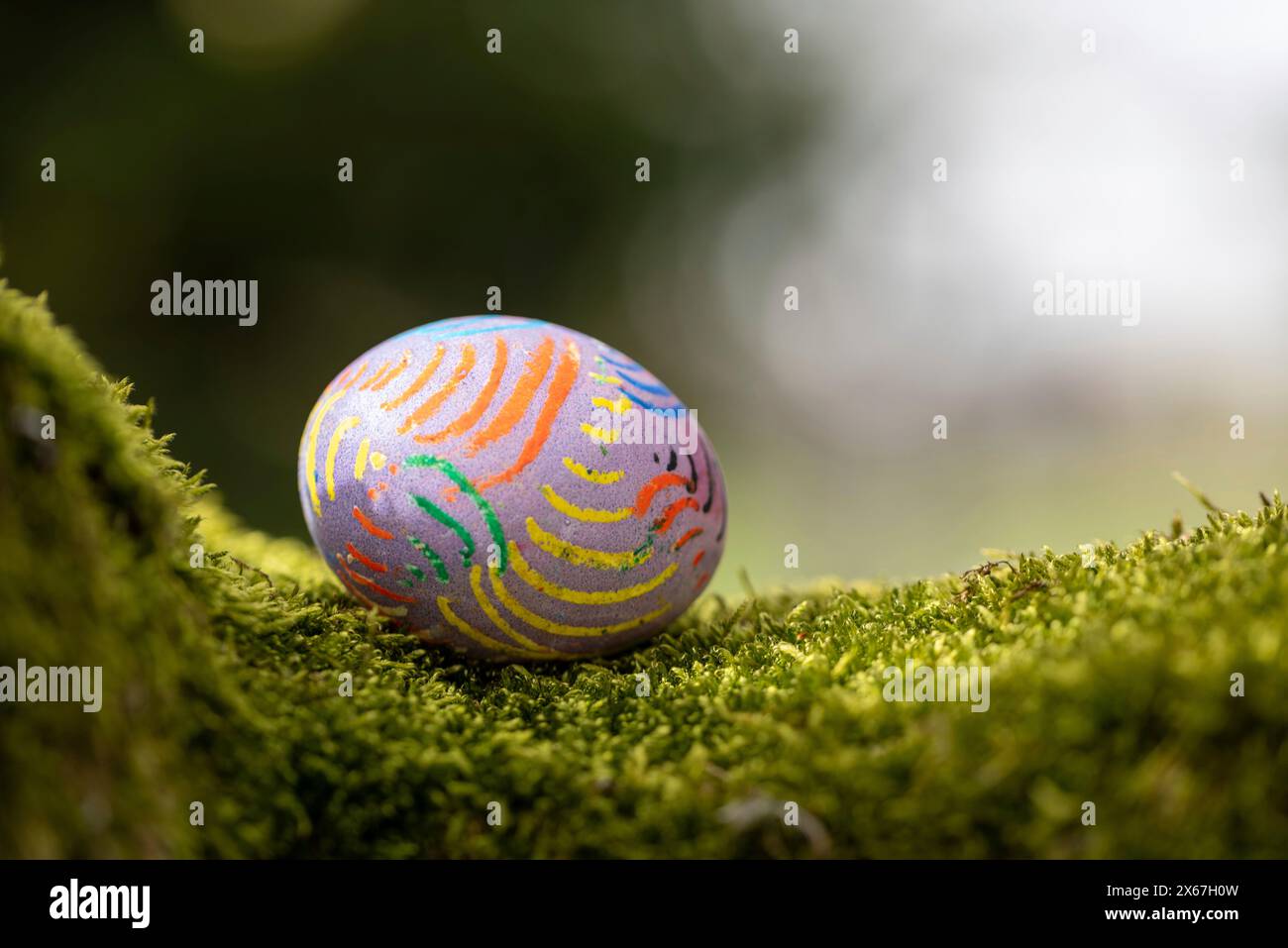 Painted Easter egg lying on moss, Germany Stock Photo