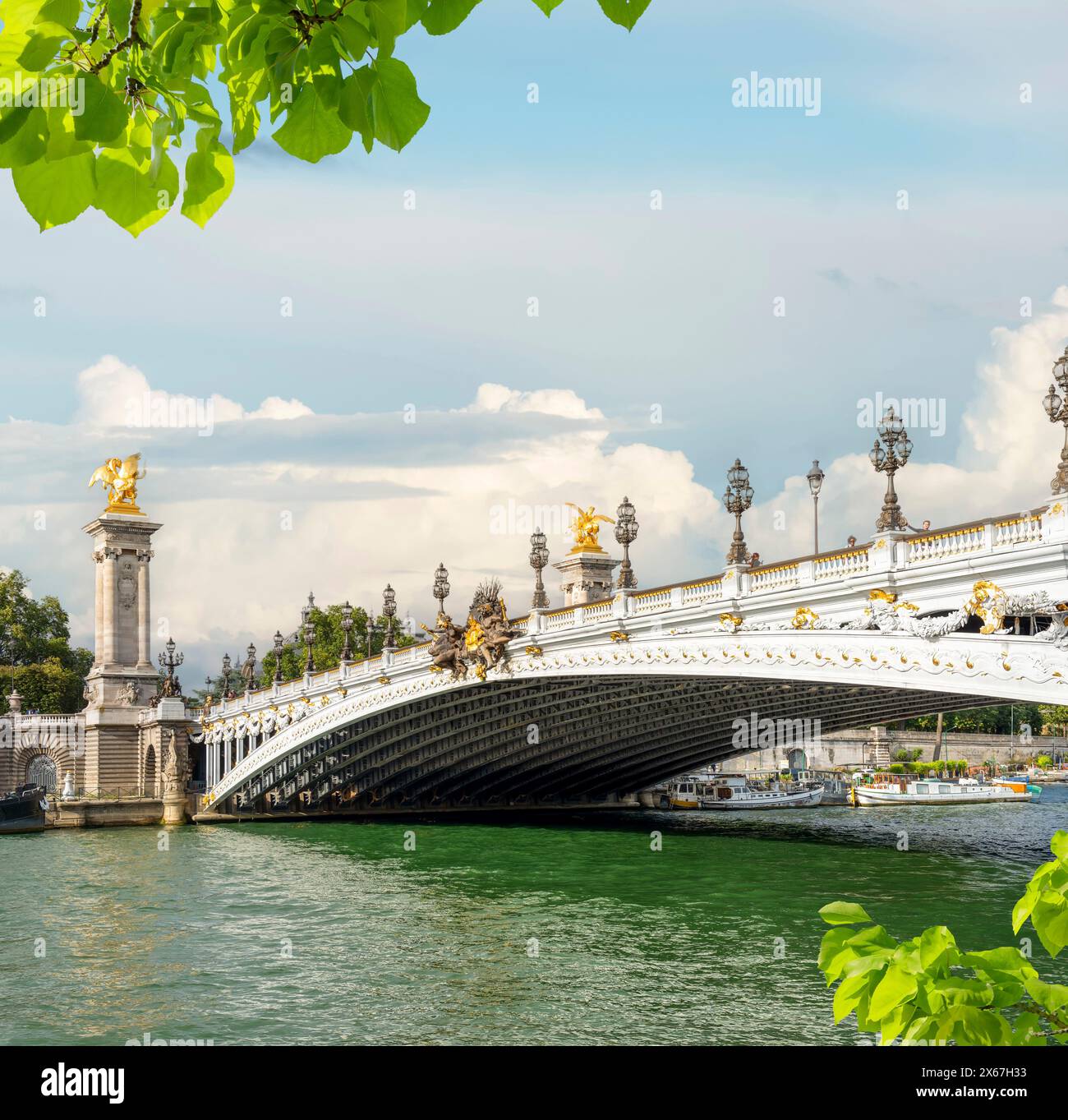 View on Pont Alexandre III in Paris, France Stock Photo